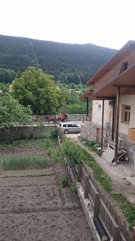 N&N Guest House Mestia Exterior photo